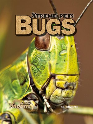 Bugs - ebook